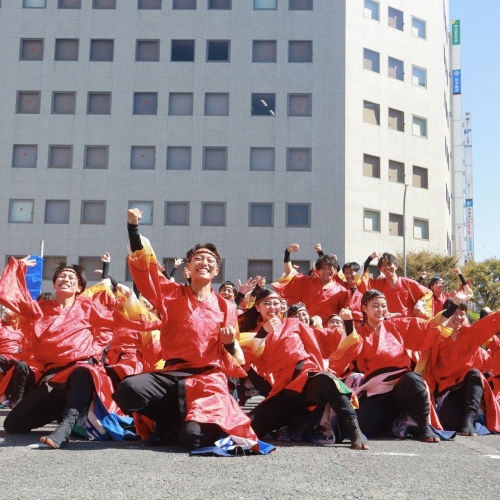 信州大学YOSAKOI祭りサークル和っしょい